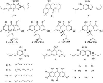 Antibacterial and β-amyloid precursor protein-cleaving enzyme 1 inhibitory polyketides from the fungus Aspergillus chevalieri